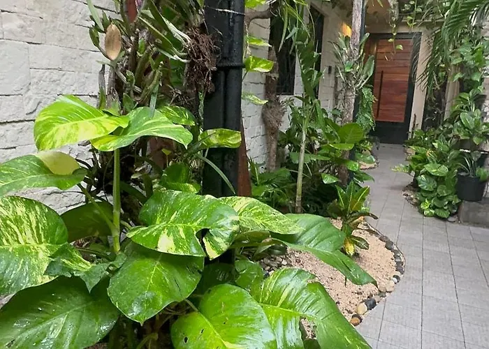 Estudio Centrico Apartment *